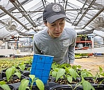 Native Plants and a Quiet Revolution in Relating to Land