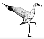 Birds as Sonic Neurotransmitters Across Species