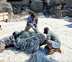 The Nets That Didn't Disappear