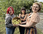 Nonprofit Turns Vacant Lots Into Free Fruit Orchards