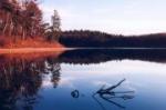 Does Thoreau Have a Future?