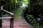 'Green' Exercise Boosts Mental Health