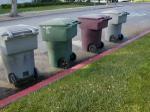 A Trash-Free Year