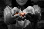 An Experiment in Generosity
