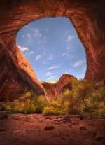 Outdoors and Out of Reach: Studying the Brain