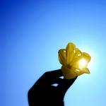 Embracing Imperfection
