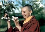 Tenzin Palmo: Cave in the Snow