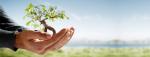 The Business of Giving