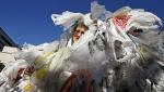 Los Angeles Bans Plastic Bags