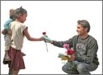 Roses of Peace Bloom