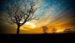 Alone but Not Lonely