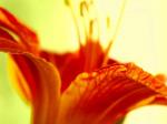 Fostering Virtue