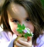 Kind Kids