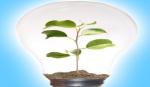 Money and Life: Ecologizing Growth