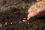 Is Our Hunger for Scale Starving Real Growth?