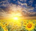 The Healing Power of Poetry