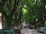 The Most Beautiful Street in the World