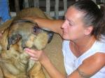Rescue of Burned Puppy Comes Full Circle