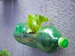 Trash Into Treasure: 6 Cool Things Made From Sea Plastic
