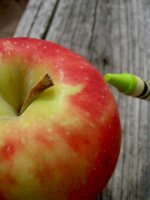 What Makes a Teacher Great?