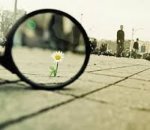 Uncommon Gratitude