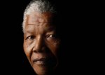 Mandela: an Exemplar of Lifelong Learning