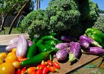 Former Dress Shop Owner Feeds Thousands Through Gardening