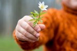The Giving Season