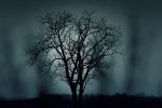 What Fear Can Teach Us