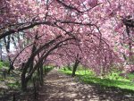 Nature Is Medicine -- Even in a Prison Cell