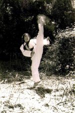 I Will Teach You: Great Grandmaster Tae Yun Kim