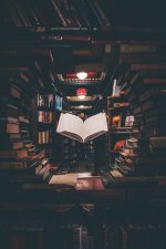 The Literary Prize for the Refusal of Literary Prizes