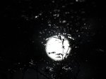 A Primer for Forgetting