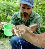 The Animal Rescuer of Assam