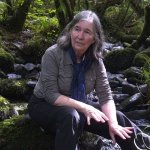 Call of the Forest: the Forgotten Wisdom of Trees