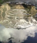 Deep Water-- a Conversation with Emmanuel Vaughan-Lee