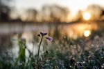 Hope: an Owner's Manual