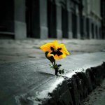 Are You a Highly Sensitive Person?