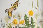 The Lost Spells: a Lyrical Rewilding of the Human Heart