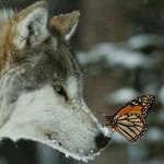 Six Tips for Speaking up When Called For