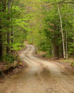 Time Confetti and the Broken Promise of Leisure