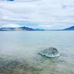 Tara Brach: True Refuge