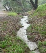 My First Best Friend