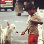 The Energy of the Universe Is Neutral: James O' Dea