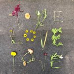 Emily's Affirmations: a Valentine's Day Gift to Self