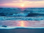 The Nature of Plastics