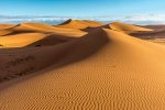 Once I Took a Week Long Walk in the Sahara