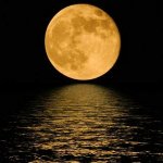 The Book of Untranslatable Words