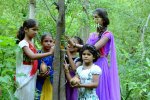 Piplantri: Where 111 Trees Are Planted for Every Girl Child Born