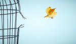 Heartfelt Inquiry Into Core Beliefs